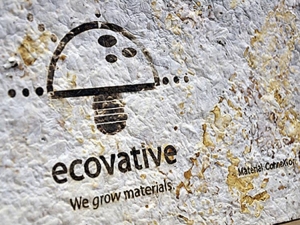 IKEA will Verpackungen aus Pilzgewebe nutzen, die zu 100% kompostierbar