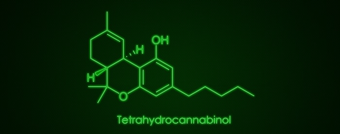 Tetrahydrocannabinol (THC) -  Effektiver und natürlicher Wirkstoff? Zahlreiche Menschen im Internet bestätigen, dass sie ihren Krebs erfolgreich mit Hilfe der in fast allen westlichen Staaten verbotenen Cannabis-Pflanze erfolgreich bekämpft haben.